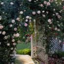 <p>Let climbing roses, well, climb up an archway for a thoroughly romantic garden entrance.<br></p>