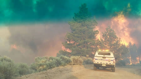 Flames rise from a treeline near an emergency vehicle during efforts to contain the Spring Creek Fire in Costilla County, Colorado, U.S. June 27, 2018. Picture taken June 27, 2018. Costilla County Sheriff's Office/Handout via REUTERS.