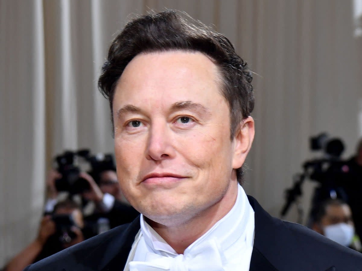 Elon Musk has expressed concerns about population decline before (AFP via Getty Images)