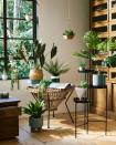 <p>Spruce up your living space with Faux Floral, the final trend from Sainsbury's. Perfect for the not-so-green-fingered, these plants look as good as the real thing. </p><p>Sian Butler, Senior Buyer, explains: "Well suited for busy modern lifestyles, hassle-free faux florals continue to be an essential home trend. Large-leaf statement botanicals effortlessly add structure to a room, whilst floral arrangements, tumbling green vines and hanging succulents inject colour and life to interiors."<br></p>