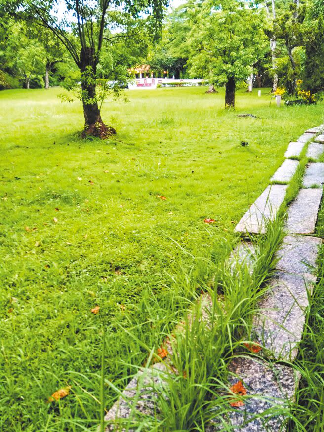 已有一百四十餘年歷史的壓艙石，安放在陳家墓園前，彷彿述說著先祖創業維艱的歷程。（2020年，張蒼松攝）