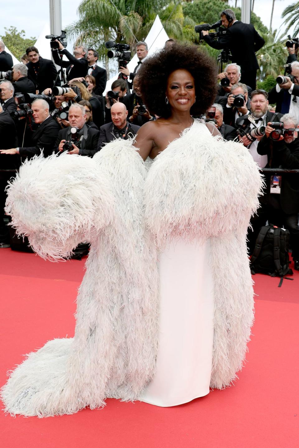 Viola Davis (Getty Images)