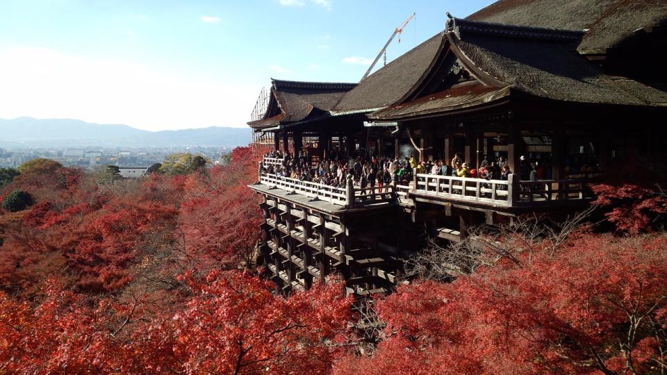 許多日本民眾無視政府呼籲，在三連休假期間前往各賞楓景點旅遊。（示意圖／取自pixabay）