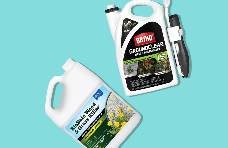 The Best Weed Killers to Use on Invasive Plants