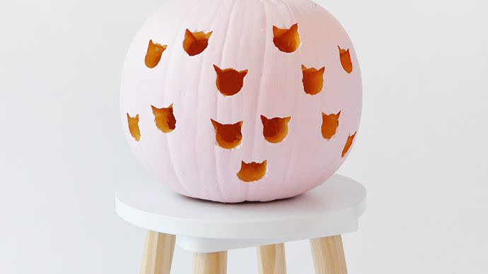 cat pumpkin