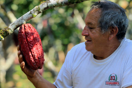 FILE PHOTO: An Ecuadorean farmer holds a cacao fruit in Las Naves, some 350 km (217 mi) southwest of Quito, September 26, 2010. REUTERS/Guillermo Granja/File Photo