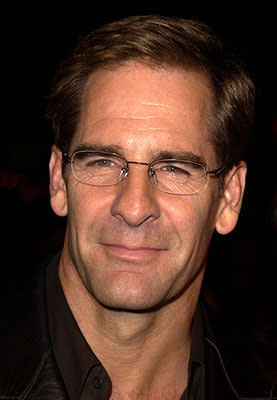 Scott Bakula at the Hollywood premiere of Life as a House