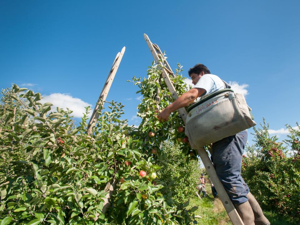 apple picking fall in every state pennsylvania