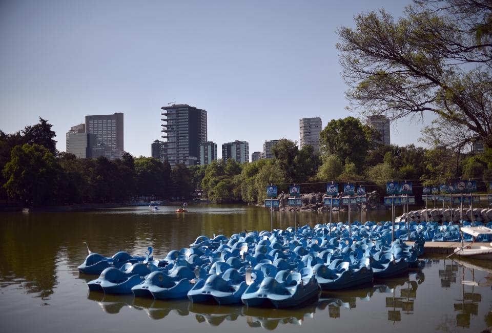 Bosque de Chapultepec, CDMX | RODRIGO ARANGUA/AFP via Getty Images)