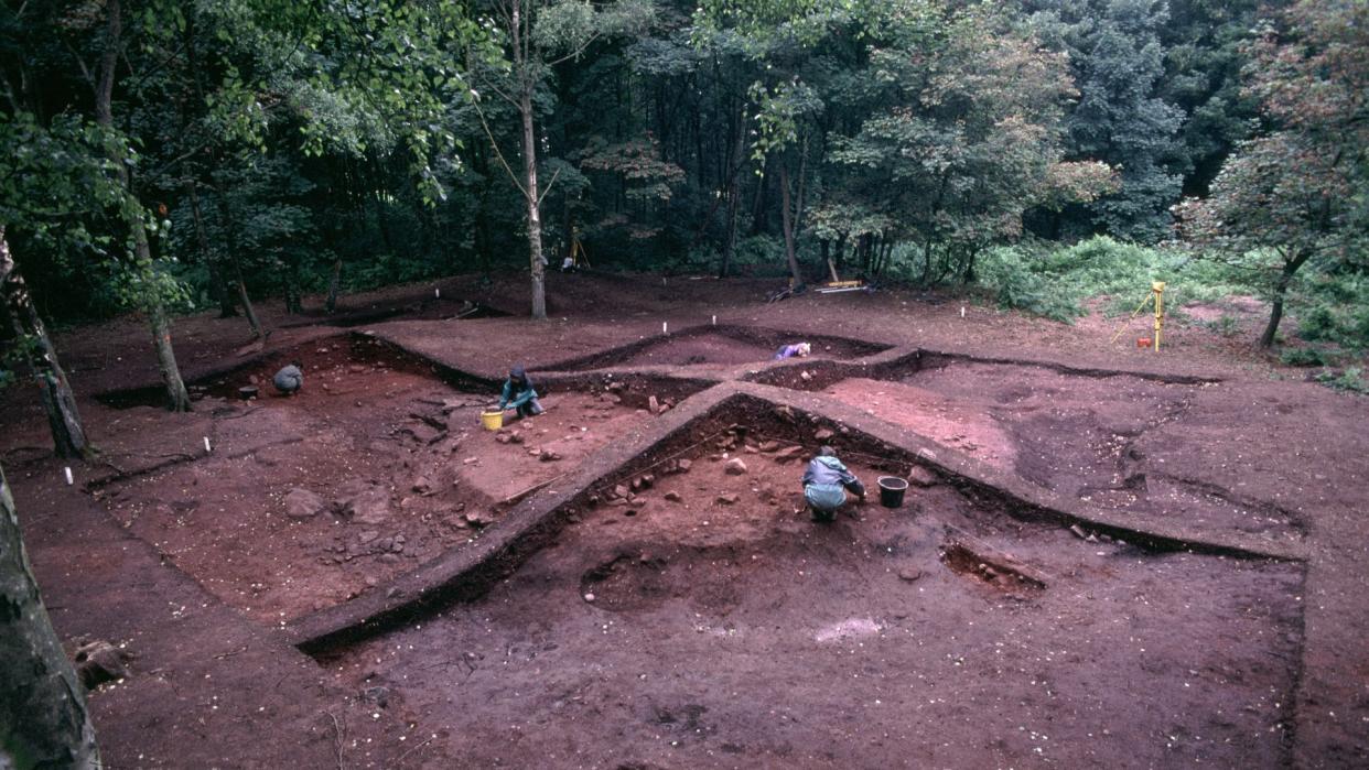  A Viking burial mound at Heath Wood being excavated. Here we see an archaeological dig in the dirt surrounded by a forest. 