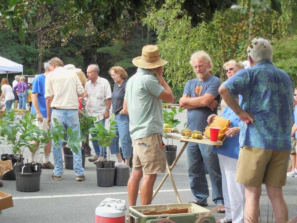 Visitors enjoy the 2014 N.C. Pawpaw Festival in Forsyth County.