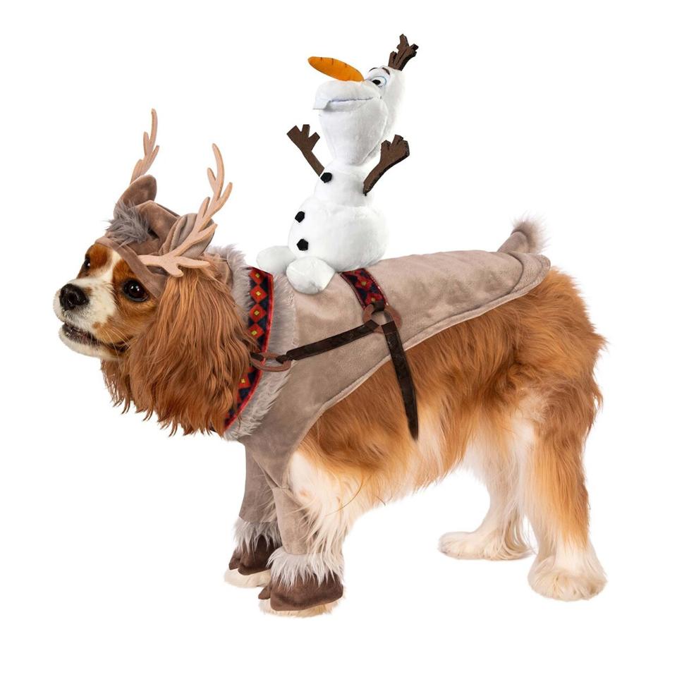 Dog wearing a Frozen Sven and Olaf Pet Costume on a white background