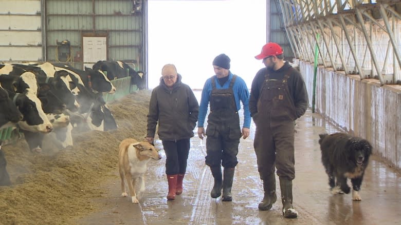 'It's a lifelong dream': Bonshaw family wins top award for dairy farmers in Canada