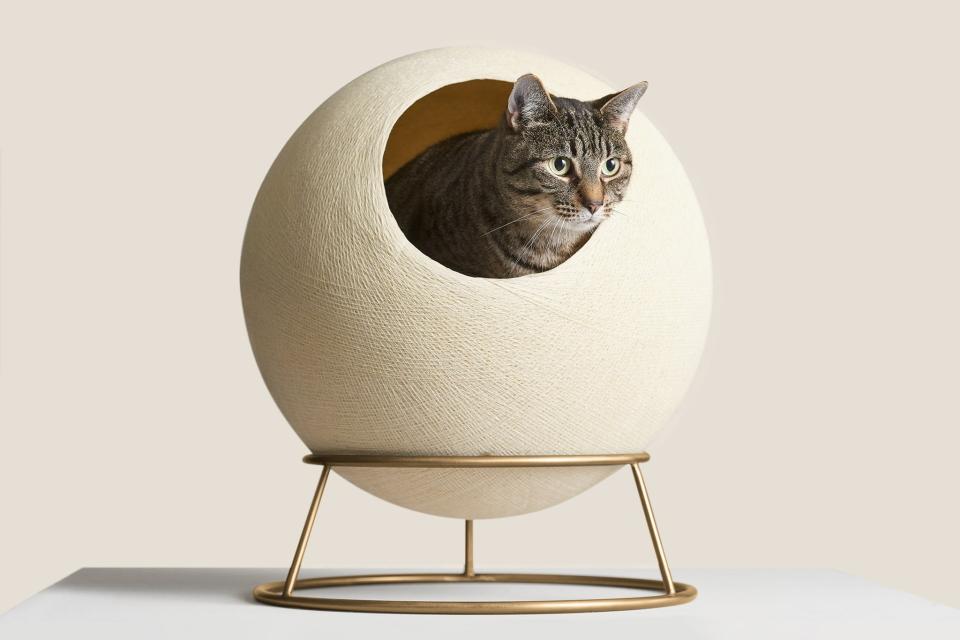 <p><a href="https://go.redirectingat.com?id=74968X1596630&url=https%3A%2F%2Fwww.tuftandpaw.com%2Fcollections%2Fall%2Fproducts%2Fstellar-cat-bed%3Fvariant%3D31855292842057&sref=https%3A%2F%2Fwww.veranda.com%2Fdecorating-ideas%2Fg40257018%2Fbest-luxury-pet-products%2F" rel="nofollow noopener" target="_blank" data-ylk="slk:Shop Now;elm:context_link;itc:0;sec:content-canvas" class="link ">Shop Now</a></p><p>Tuft and Paw Stellar Cat Bed</p><p>tuftandpaw.com</p><p>$299.00</p><span class="copyright">Tuft and Paw</span>
