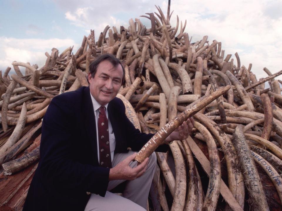 One of Leakey’s first actions as Kenya Wildlife Services director was to burn 12 tonnes of elephant ivory, a successful PR stunt (Getty)