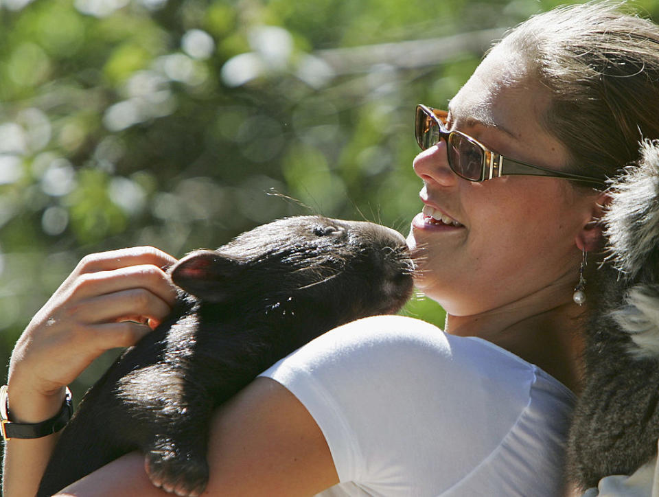 Prinzessin Victoria wurde bei ihrem Australien-Besuch fürs Knuddeln eines Wombats sicher nicht bezahlt - andere bekommen durchaus Geld dafür (Bild: Getty Images)