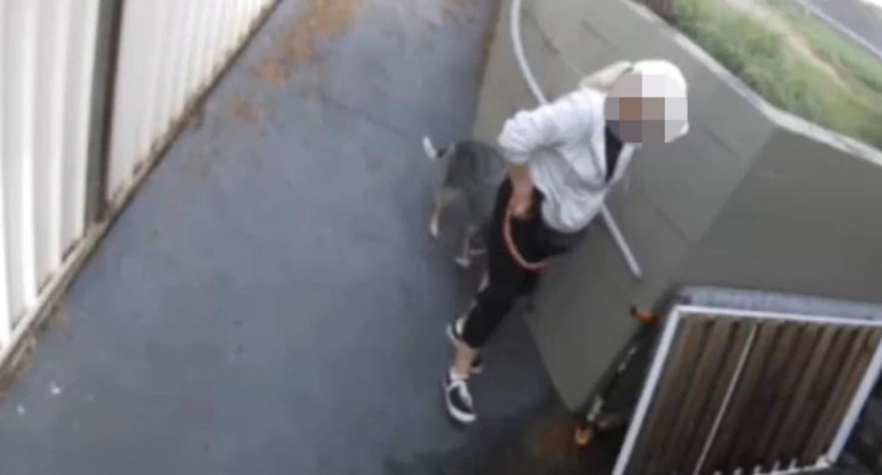 CCTV footage has captured a woman adjusting her tights as she stands less than a metre away from faeces on a pathway in Narellan Vale in Sydney's southwest. 