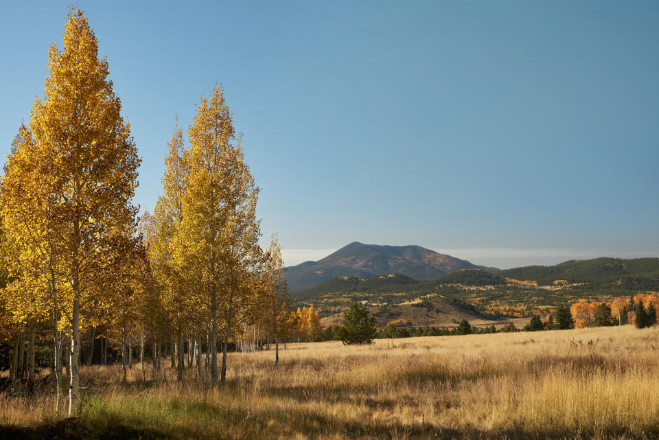 Autumn in Flagstaff, Arizona.