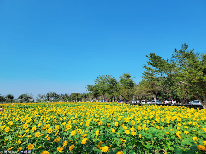 屏東｜新埤鄉綜合休閒公園