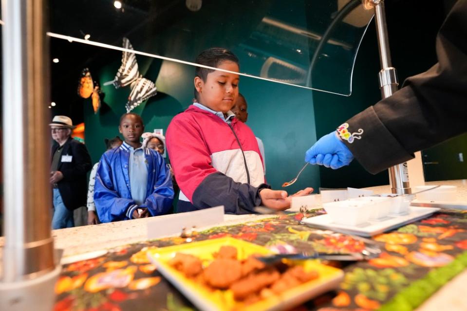 Children from the Woodmere Elementary School, of Harvey, La., line up to taste cooked insects at the Audubon Insectarium in New Orleans. AP