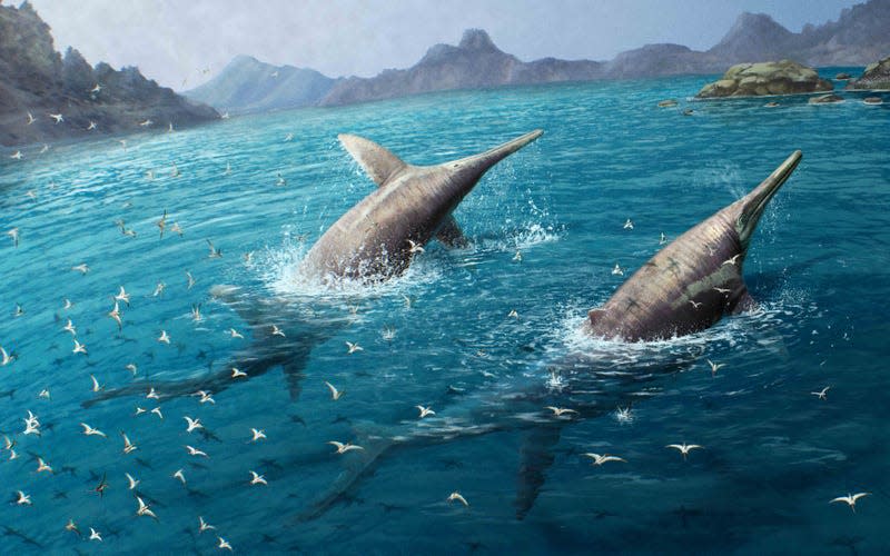 Paleoart of two I. severnensis swimming. - Illustration: <a class="link " href="https://www.eurekalert.org/multimedia/1022616" rel="nofollow noopener" target="_blank" data-ylk="slk:Gabriel Ugueto;elm:context_link;itc:0;sec:content-canvas">Gabriel Ugueto</a>