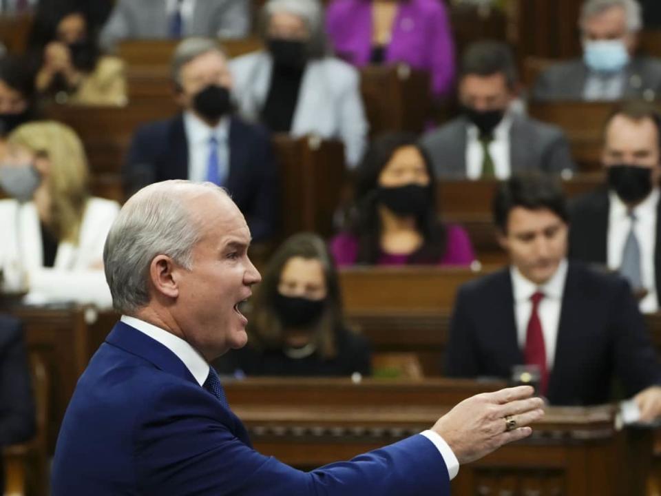 Conservative Leader Erin O'Toole rises during question period in the House of Commons on Parliament Hill in Ottawa on Wednesday, Nov. 24, 2021. (Sean Kilpatrick/Canadian Press - image credit)