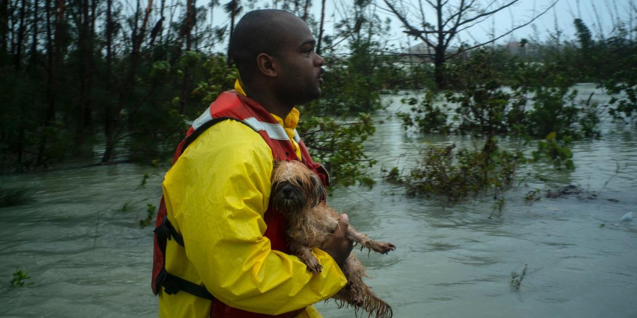 A volunteer looks for the owner of a dog he rescued from the rising waters of Hurricane Dorian,