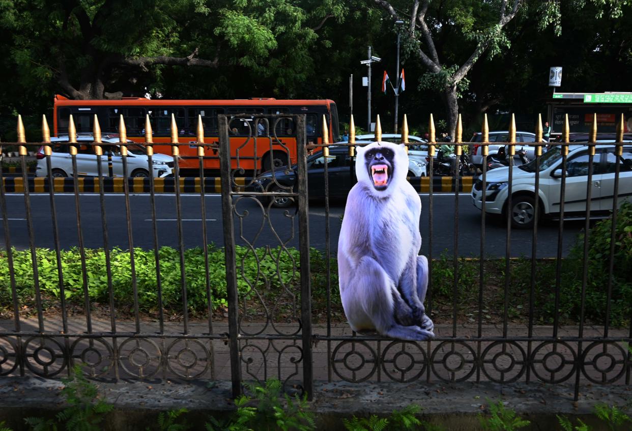 image of a cardboard cutout of a langur monkey on a fence