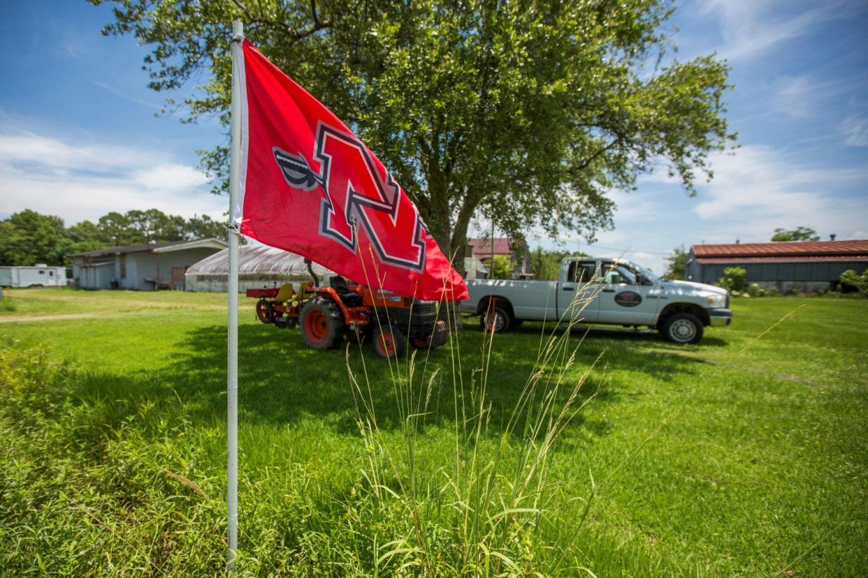 The university will use the grant to help rebuild a bridge on the Nicholls Farm. This will provide access to land that will be used to grow species of coastal plants and trees to be transferred to the coast to bolster eroding wetlands.