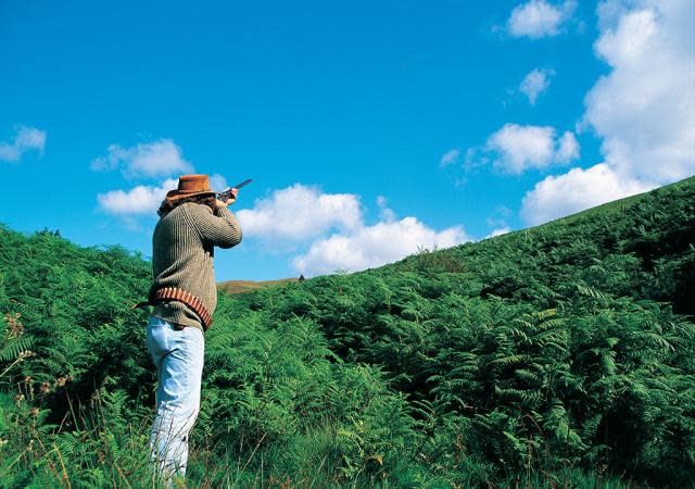 Clay pigeon shooting Wales