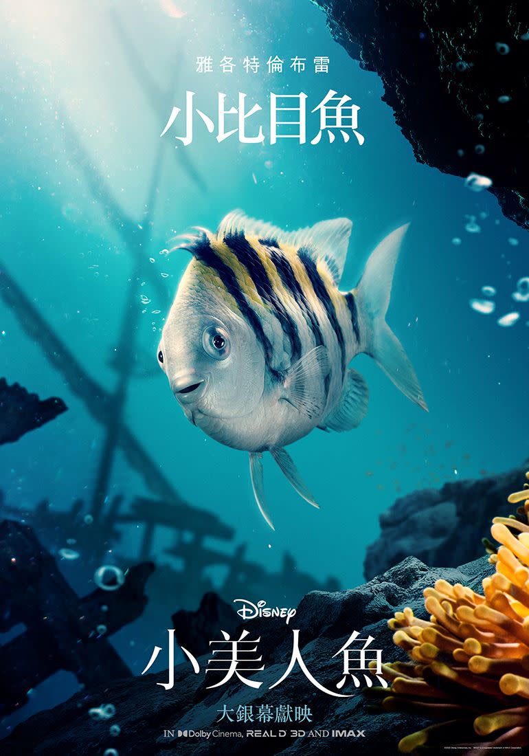 ▲《小美人魚》雅各特倫布雷飾小比目魚。（圖／迪士尼）