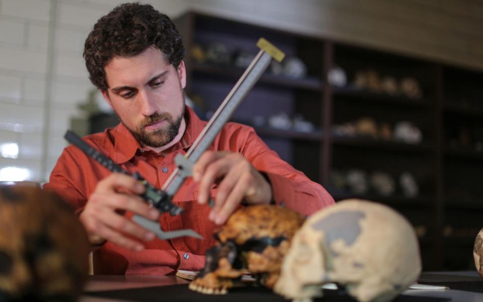 Scholar Robert Cieri taking skull measurements at Duke University, North Carolina - Jason Longo