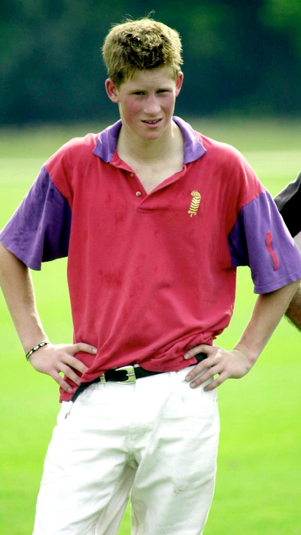 Prince Harry as a teenager