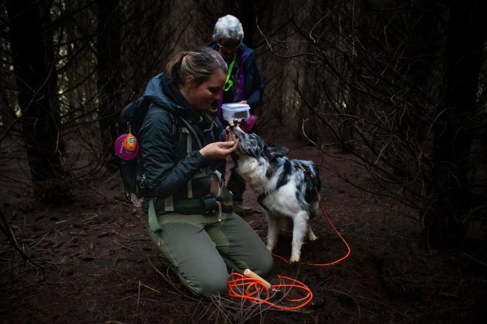Courtney VanDyke celebrates with Pixel, her 3-year-old border collie, after finding a truffle during the final round of the North American Truffle Dog Championship in Eugene Saturday, Jan. 28, 2023.