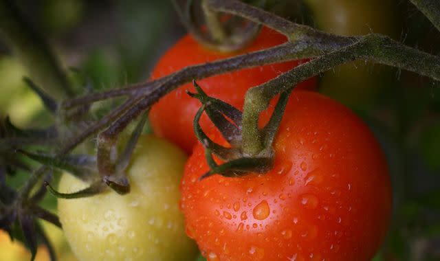 Asda, Morrisons and Aldi imposing purchase limits on some fruits and  vegetables due to supply challenges, Business News