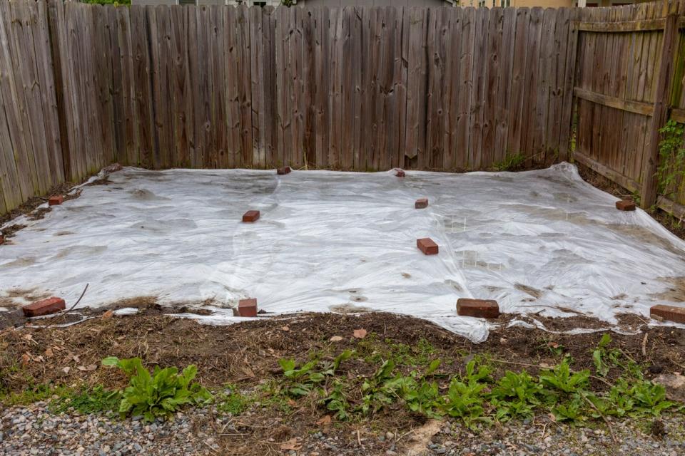 Smothering weeds with white tarp. 