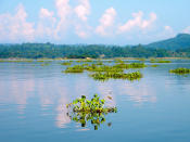 <p>Ebenfalls von den Folgen des Klimawandels bedroht ist das südasiatische Land Bangladesch, das nur knapp über dem Meeresspiegel liegt. (Bild-Copyright: ddp Images) </p>