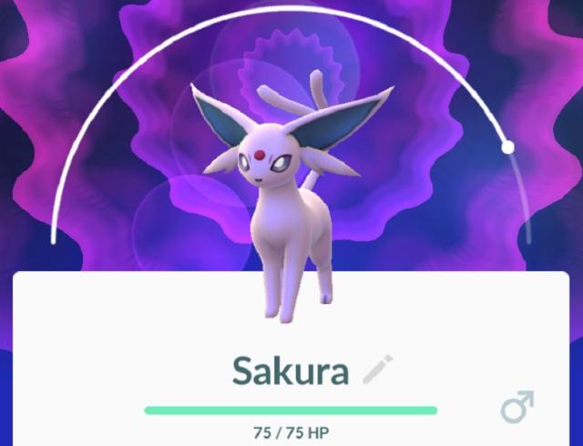 Pokemon Go trick: How to make Eevee evolve into Espeon and Umbreon