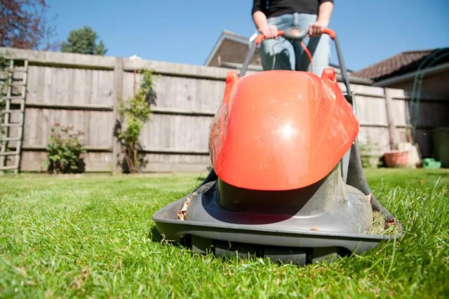 Cutting my grass to 1/2 INCH!!! WHAT AM I THINKING!!! Sun Joe