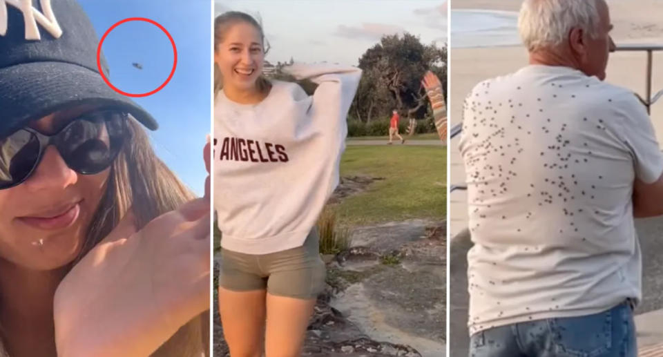 One woman points to a large fly near her face (left), another woman grimaces as she runs away from a fly (middle) and a man stands with arms folded with a swarm of flies on his back (right). 