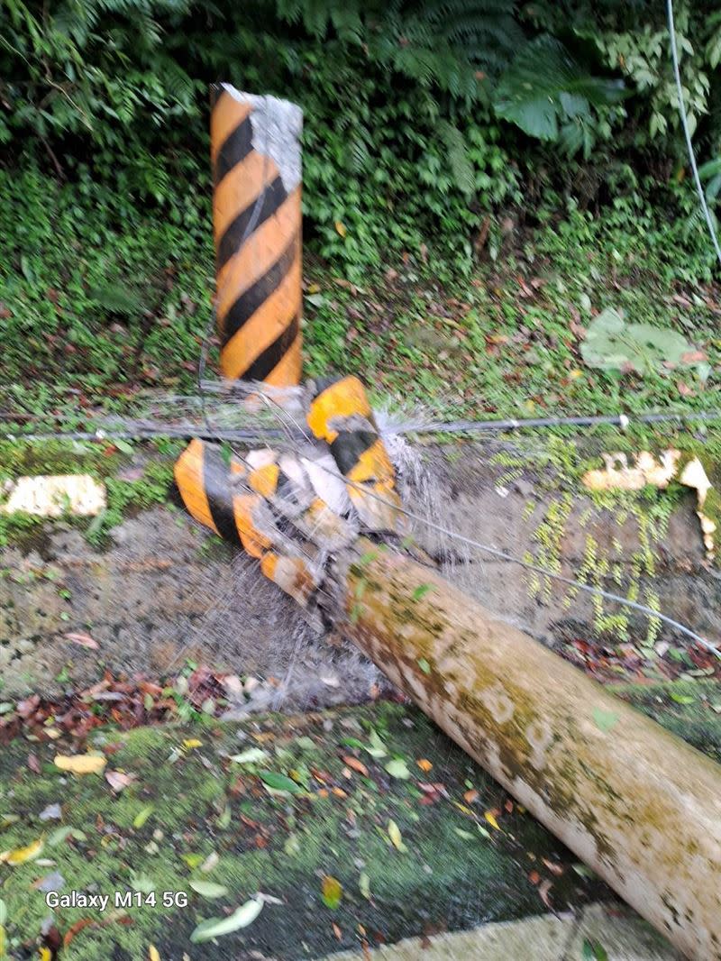 桃園市復興區樹木倒塌造成停電，影響4690戶。（圖／台電桃園營業處提供）