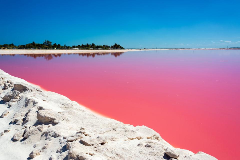 Es wirkt wie aus einem Märchenfilm entsprungen, doch diese Kulisse aus weißem Sand, blauem Himmel und pinkem Wasser gibt es wirklich, und zwar auf der Halbinsel Yucatan in Mexiko. Im sehr salzhaltigen See befindet sich eine hohe Konzentration an Mikroorganismen, wodurch das färbende Beta Carotin entsteht. (Bild: iStock / DC_Colombia)