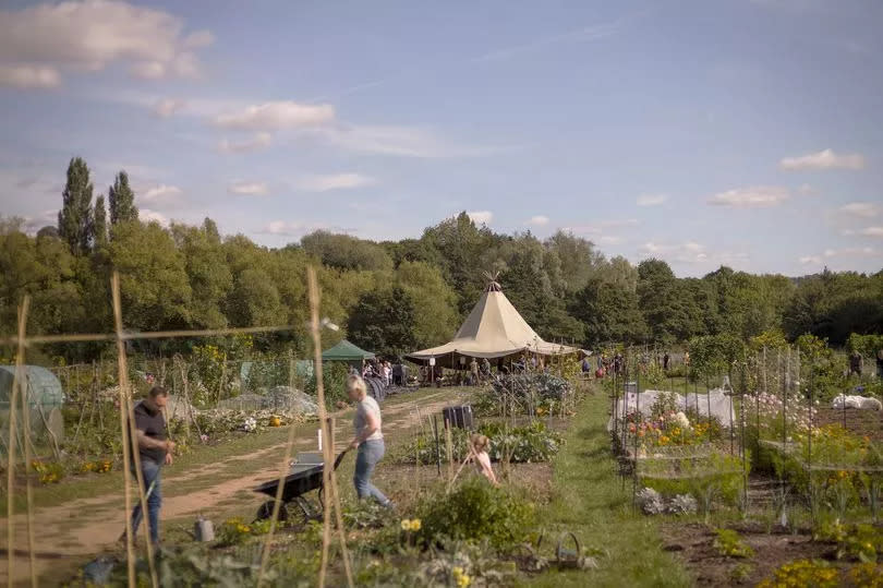 Roots' Tuckers Meadow site near Bath -Credit:Roots Allotments