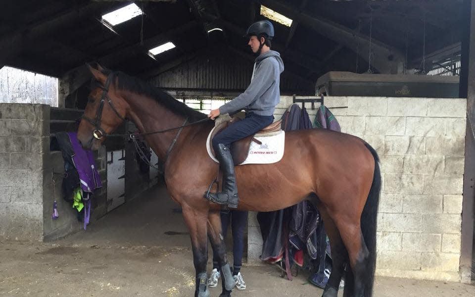 Aspiring showjumper Harlee Pendergast - Credit: FERRARI PRESS AGENCY