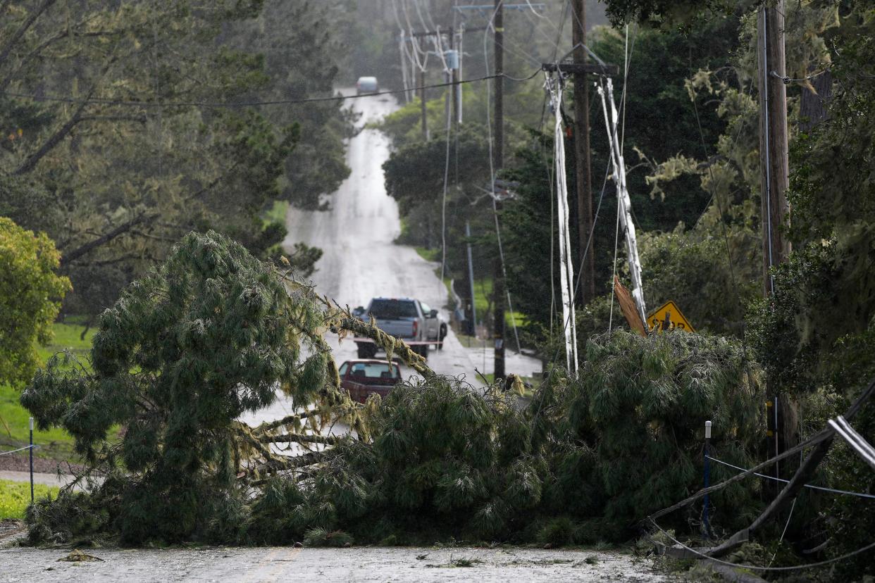 Fallen trees and power lines block a road in Pebble Beach, Calif., on Feb. 4, 2024