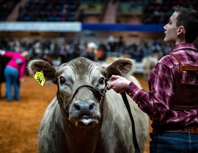 Canyon teen makes history with Grand Champion Steer sale at 2023 FWSSR