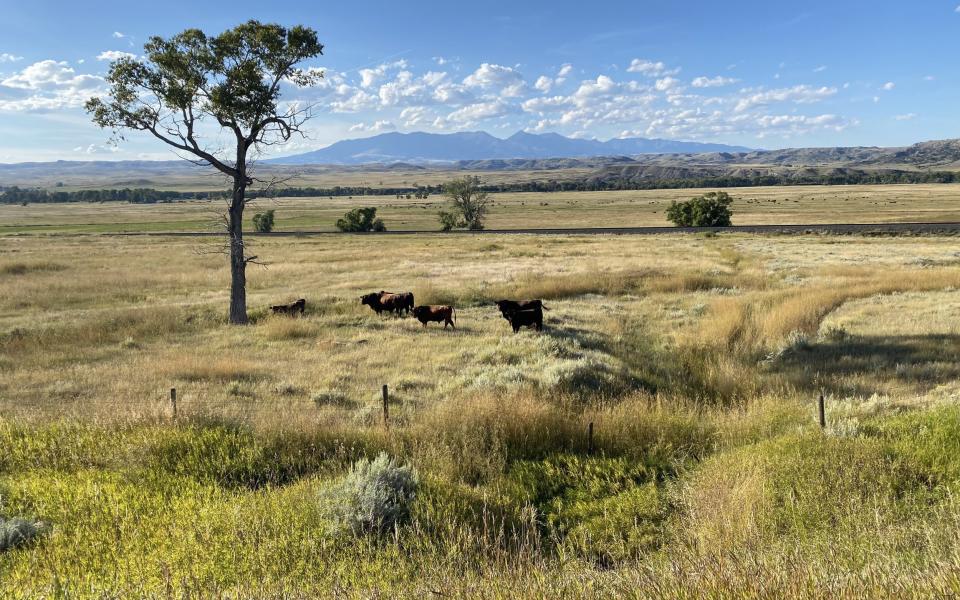 A photo of the vast western grasslands