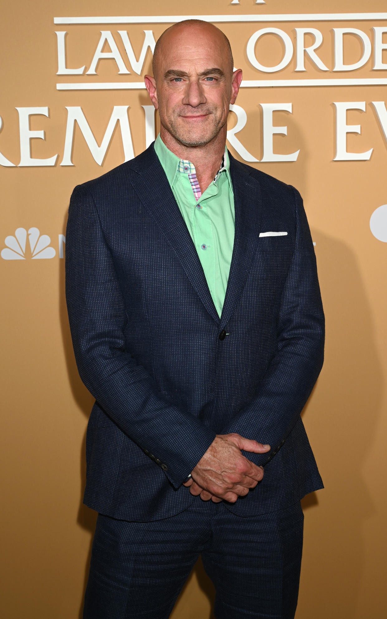 Chris Meloni (NBC / Scott Gries/NBC via Getty Images)