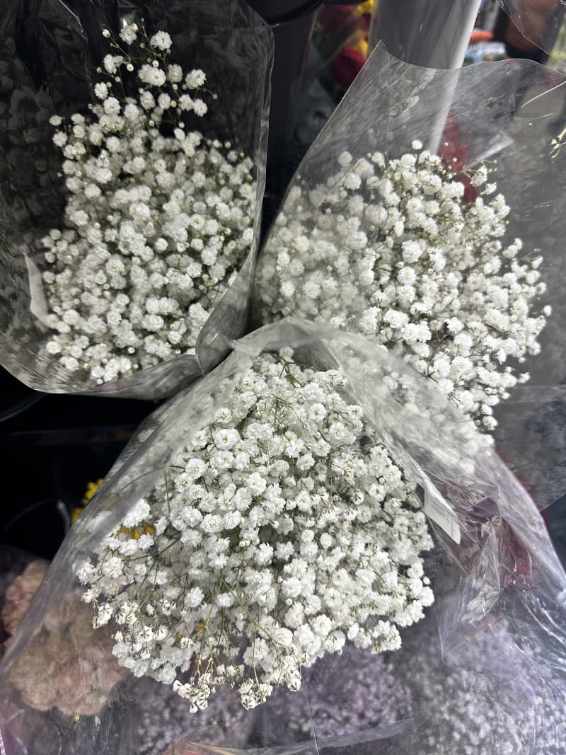 Baby's breath bouquets for sale