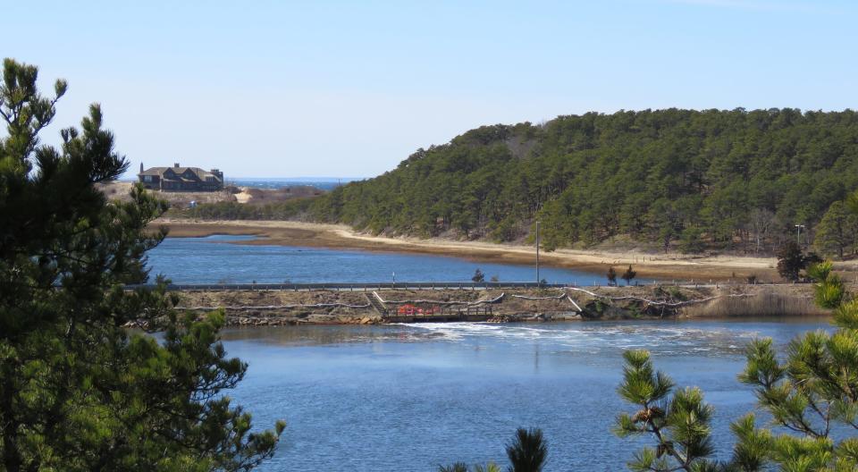 The Herring River earthen dike in Wellfleet will be replaced with a bridge and tide gates as part of a $60 million, government-funded wetlands and estuary restoration project. The dike is shown in a March photo.